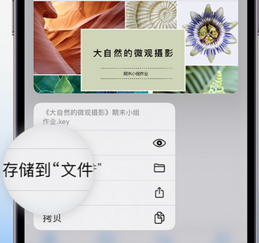 鸡西apple维修中心分享iPhone文件应用中存储和找到下载文件