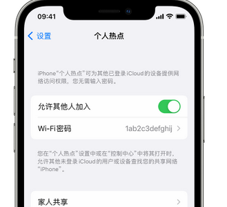 鸡西apple服务站点分享iPhone上个人热点丢失了怎么办 