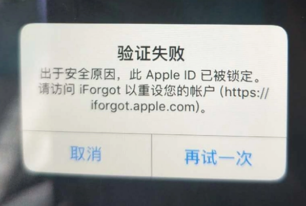 鸡西iPhone维修分享iPhone上正常登录或使用AppleID怎么办 