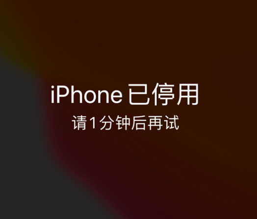 鸡西苹果手机维修分享:iPhone 显示“不可用”或“已停用”怎么办？还能保留数据吗？ 