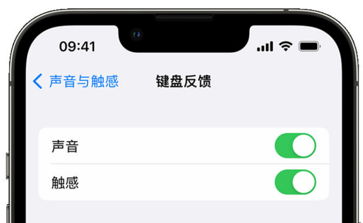 鸡西苹果手机维修分享iPhone 14触感键盘使用方法 