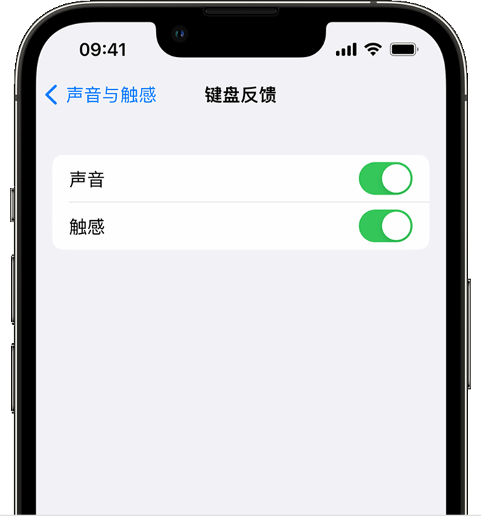 鸡西苹果14维修店分享如何在 iPhone 14 机型中使用触感键盘 