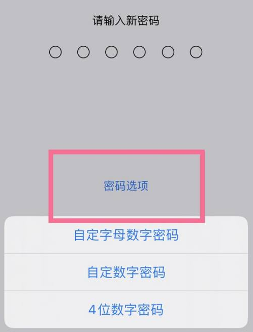 鸡西苹果14维修分享iPhone 14plus设置密码的方法 