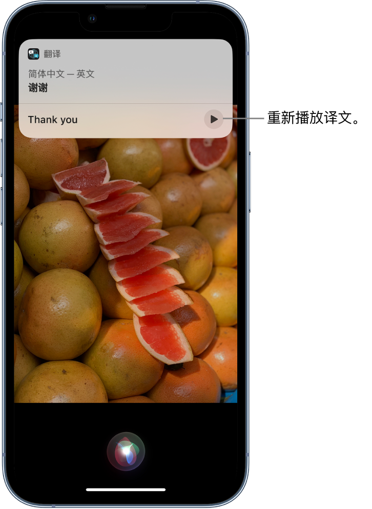 鸡西苹果14维修分享 iPhone 14 机型中使用 Siri：了解 Siri 能帮你做什么 