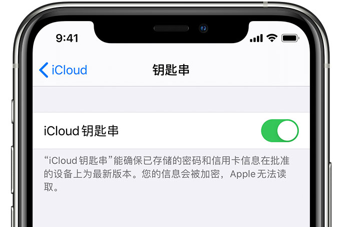 鸡西苹果手机维修分享在 iPhone 上开启 iCloud 钥匙串之后会储存哪些信息 