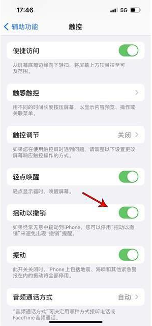 鸡西苹果手机维修分享iPhone手机如何设置摇一摇删除文字 