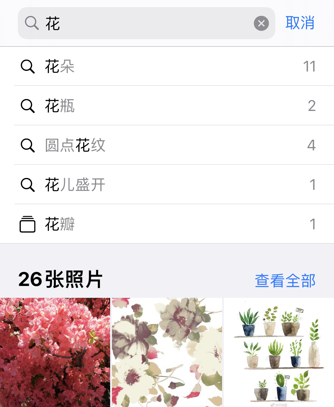 鸡西苹果手机维修分享iPhone 小技巧 