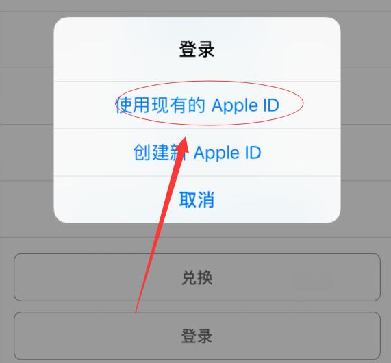 鸡西苹果手机维修分享两台iPhone设备可以同时登录一个Apple ID吗 