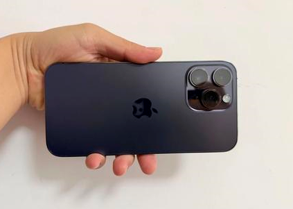 鸡西苹果维修点分享iPhone 14 Pro Max黑屏少见故障盘点 